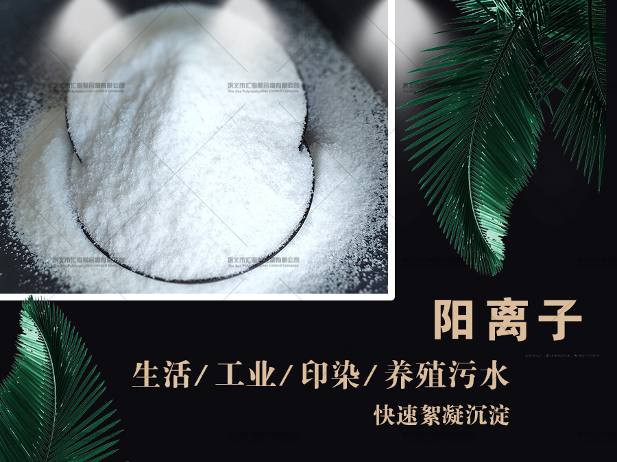 义乌阳离子聚丙烯酰胺